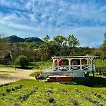 Tiny Bohemian At Balaton Vakantiehuis