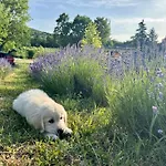 بيت للعطل Tiny Bohemian At Balaton Kisapati