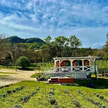 Tiny Bohemian At Balaton Σπίτι διακοπών