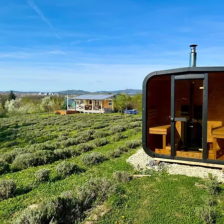 Tiny Bohemian At Balaton Holiday home *
